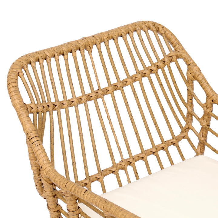 Set of 2 metal and rattan chairs